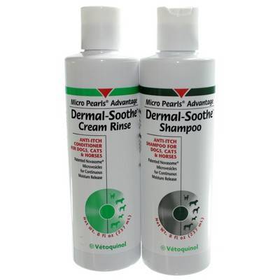 anti itch shampoo for cats