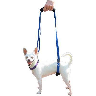 GingerLead - Premium Dog Support Harness | VetRxDirect