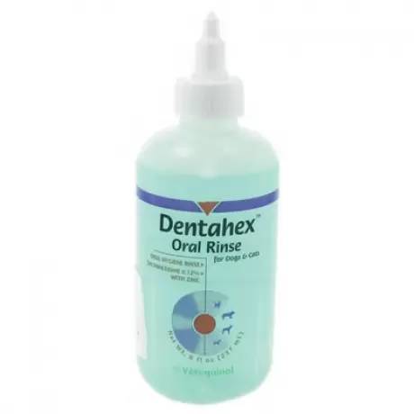 Dentahex Oral Chlorhexidine Rinse for Dogs and Cats