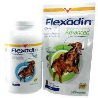 Flexadin Young Dog Chews, Dogs Over 22 lbs, 90ct