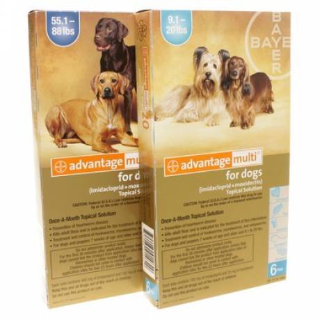 Advantage Multi for Dogs - Heartworm/Flea Med | VetRxDirect | 88.1-110 lbs, 12 Month Supply