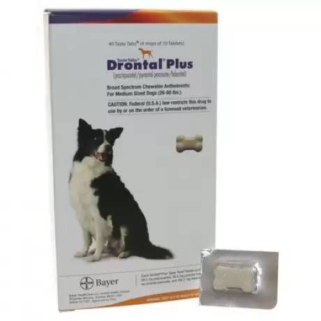 drontal small dog wormer