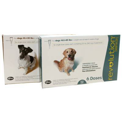 topical heartworm treatment