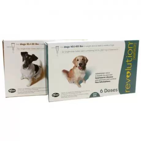 Revolution For Dogs Heartworm Flea Med Vetrxdirect