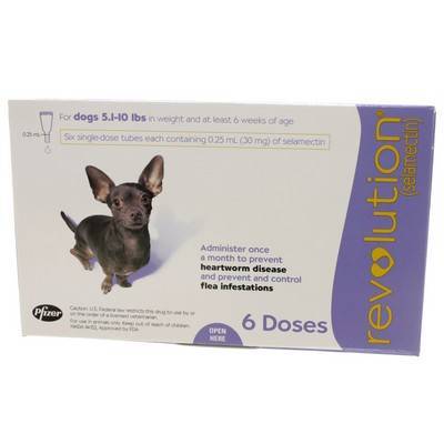 Revolution (selamectin) for Dogs 5.1-10 lbs, 6 Month Supply