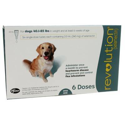 Revolution (selamectin) for Dogs 40.1-85 lbs, 6 Month Supply