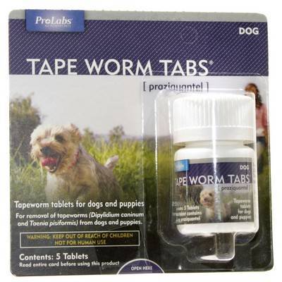 tape worm tabs cats