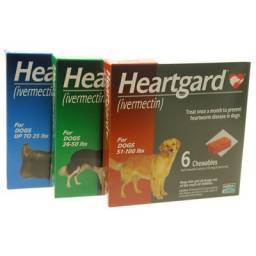 Heartworm Prevention: Heartworms in Dogs - Pet Meds- VetRxDirect