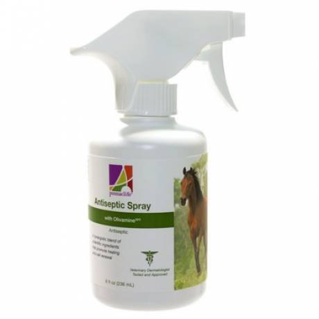 Equine Antiseptic Spray for Horses