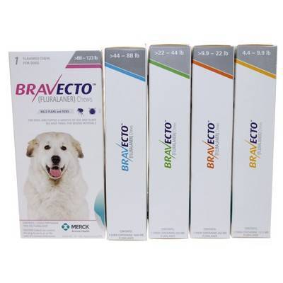 oral anti flea for dogs