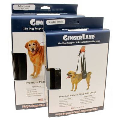 gingerlead dog harness