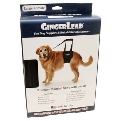 gingerlead dog harness