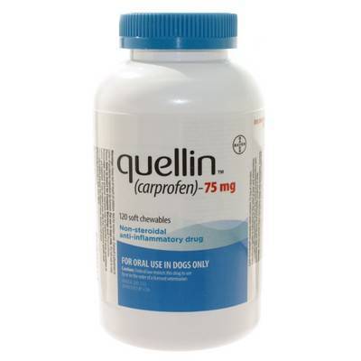 quellin for Dogs - Soft Chewable Carprofen | VetRxDirect Pharmacy