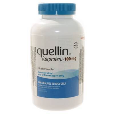 quellin for Dogs - Soft Chewable Carprofen | VetRxDirect Pharmacy