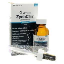 Clindamycin Liquid 25mg/mL; ?>