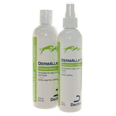 DermAllay - Oatmeal Shampoo and Spray | VetRxDirect Pharmacy