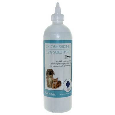 Chlorhexidine Solution - Pet Topical Flush | VetRxDirect