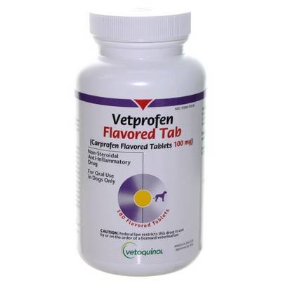 vetprofen 100mg side effects