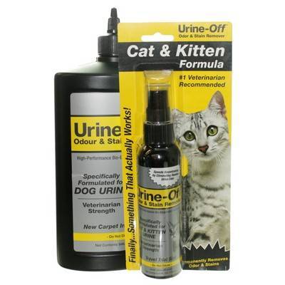 Urine fashion off cat