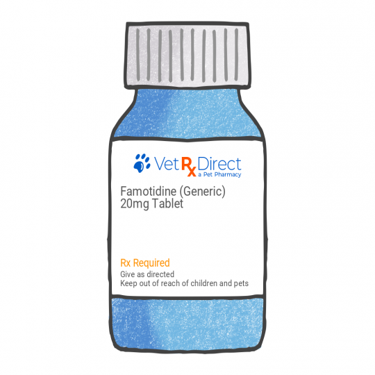 Famotidine (Generic)