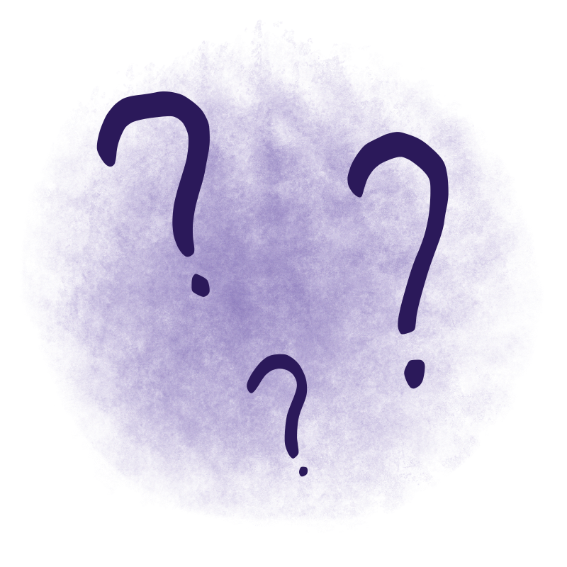 Kidney Disease in Cats